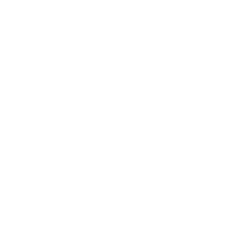 Etui na iPhone 15 Pro ROСKETS